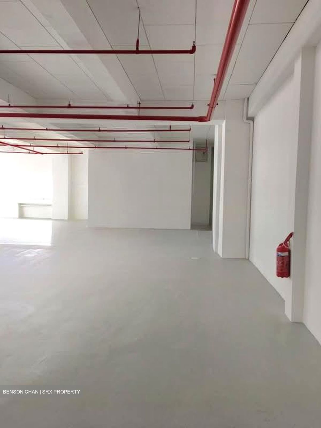 Perfect One (D13), Warehouse #554776461